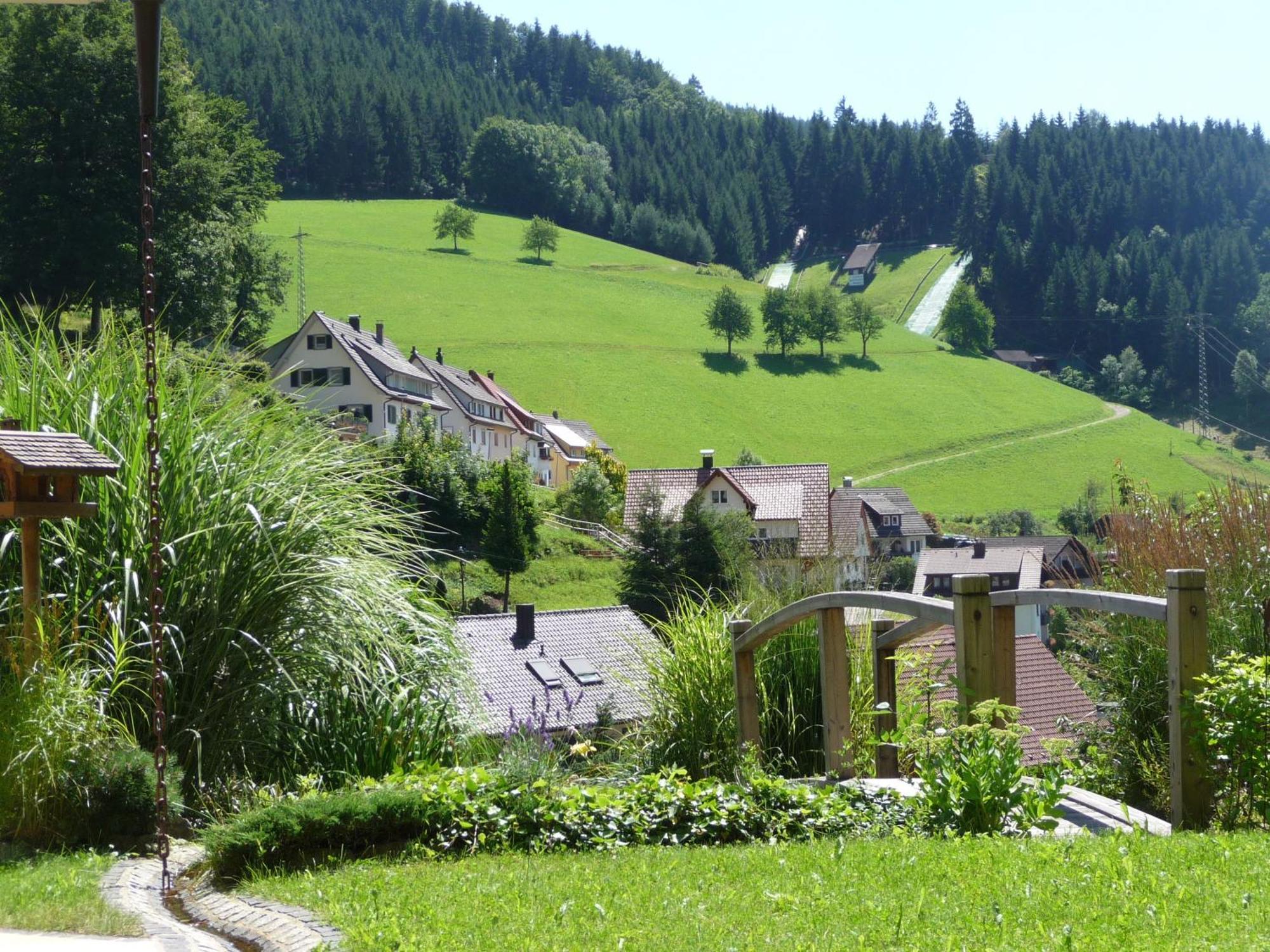 Flair Hotel Adlerbad Bad Peterstal-Griesbach Exterior photo