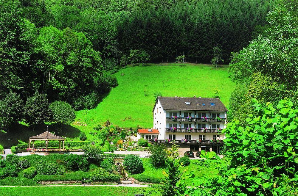 Flair Hotel Adlerbad Bad Peterstal-Griesbach Exterior photo